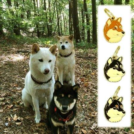 Médaille gravée pour chien Shiba